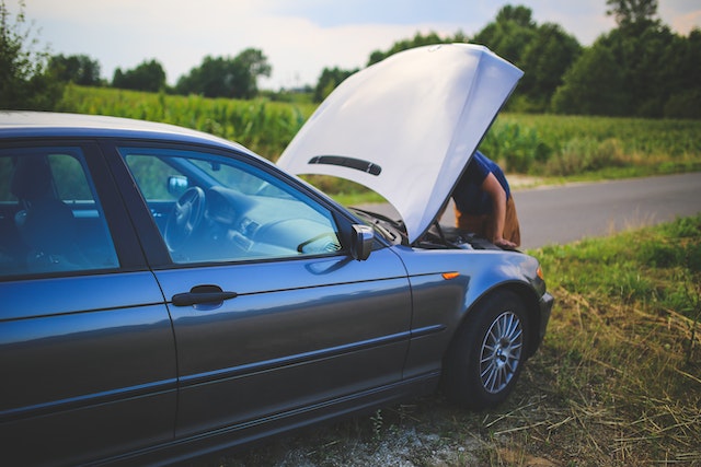 Welke schade doet een steenmarter aan je auto?